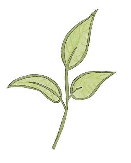 Xylitol