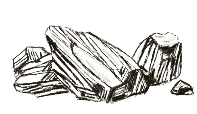 Activated Charcoal