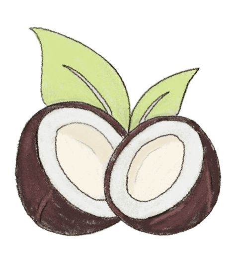 Organic Coconut Oil
